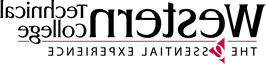 美高美网络平台游戏 Logo